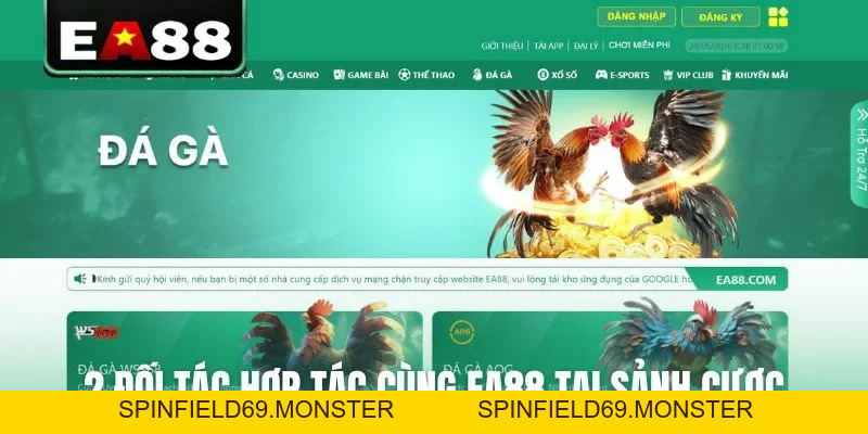 Đá gà EA88 - Sảnh Cược Trực Tiếp Đỉnh Cao Dành Cho Kê Thủ - SPINFIELD69.MONSTER