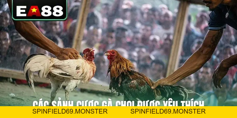 Đá Gà Trực Tuyến EA88 Kịch Tính Và Hấp Dẫn Mỗi Ngày - SPINFIELD69.MONSTER