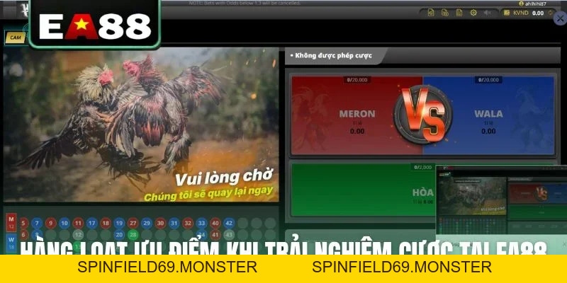 Đá gà EA88 - Sảnh Cược Trực Tiếp Đỉnh Cao Dành Cho Kê Thủ - SPINFIELD69.MONSTER
