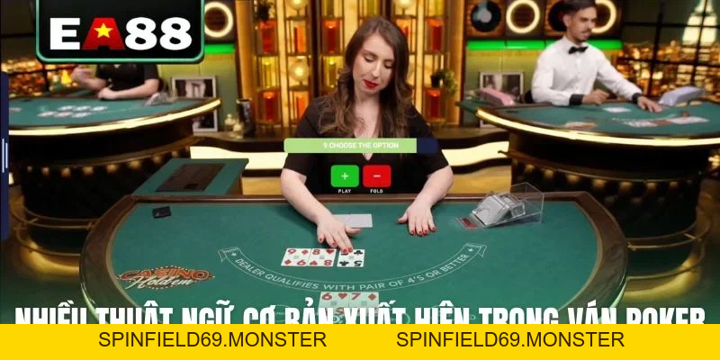 Cách Chơi Poker Chuẩn Quốc Tế Dành Cho Tân Thủ Dễ Hiểu - SPINFIELD69.MONSTER